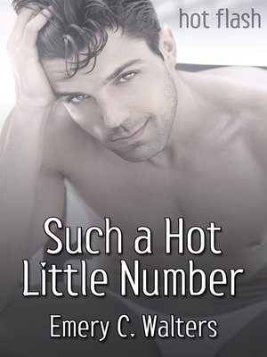 cover image of Such a Hot Little Number